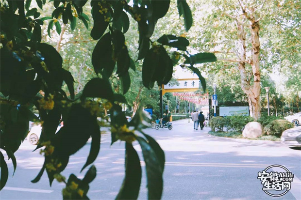 BC贷·(中国区)官方网站