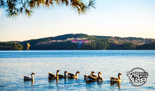 BC贷·(中国区)官方网站