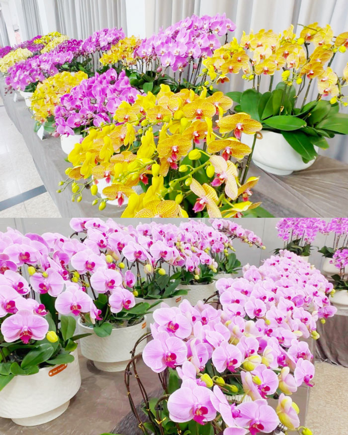 BC贷·(中国区)官方网站