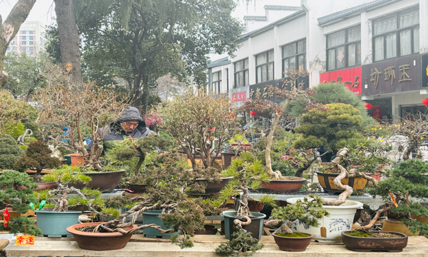 BC贷·(中国区)官方网站