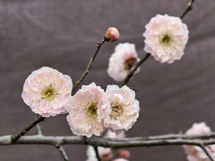 BC贷·(中国区)官方网站